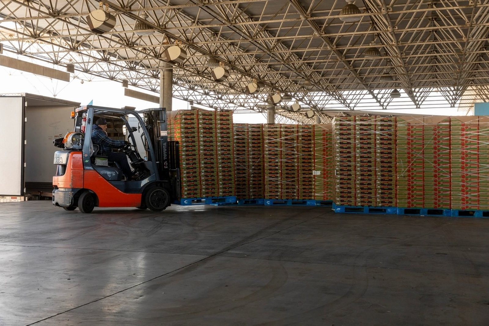 Cargo warehouse