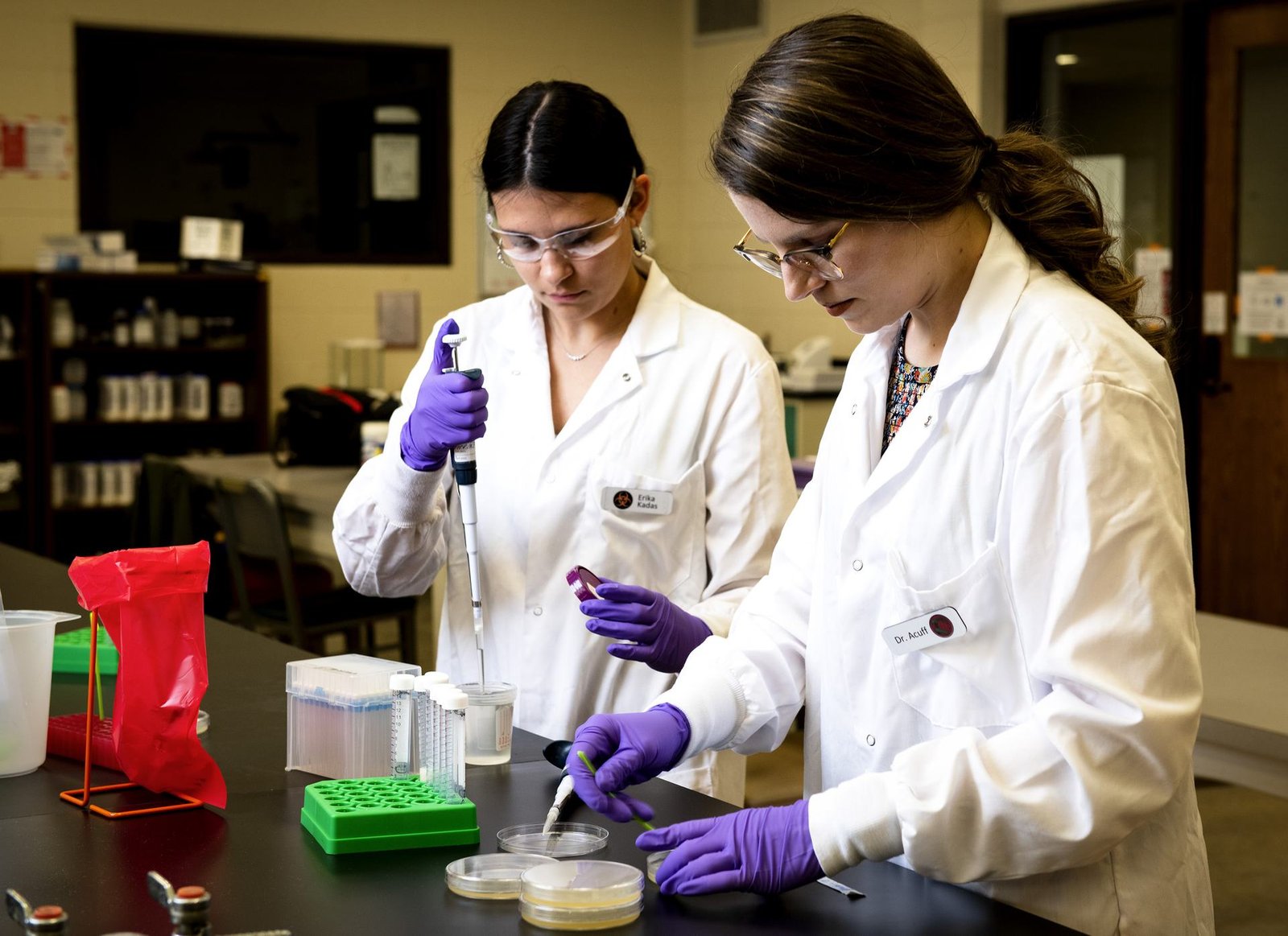 Food safety laboratory